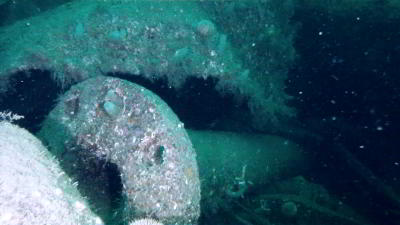 SMS Konig